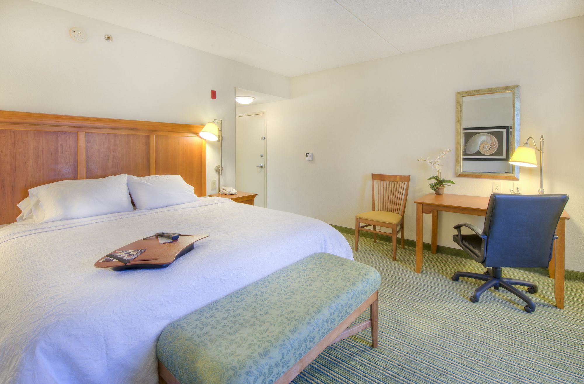 Hampton Inn Wilmington University Area Экстерьер фото